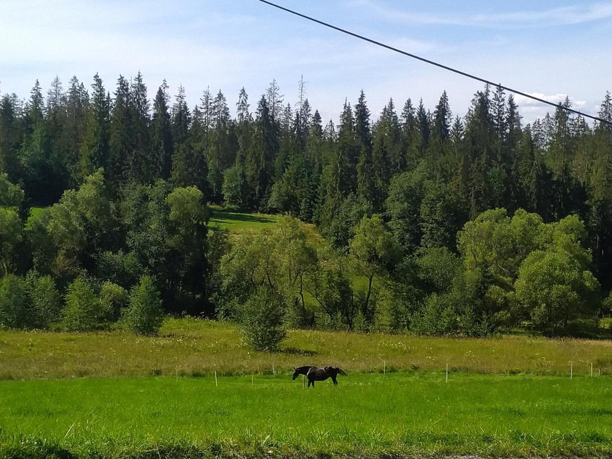 Domek U Mrugaly Poronin Buitenkant foto